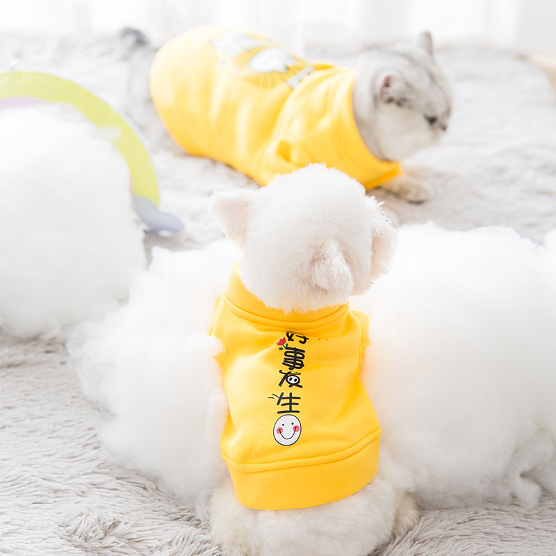 泰迪小狗狗卫衣宠物衣服小型犬幼犬比熊博美猫咪春秋装薄款雪纳瑞 - 图1