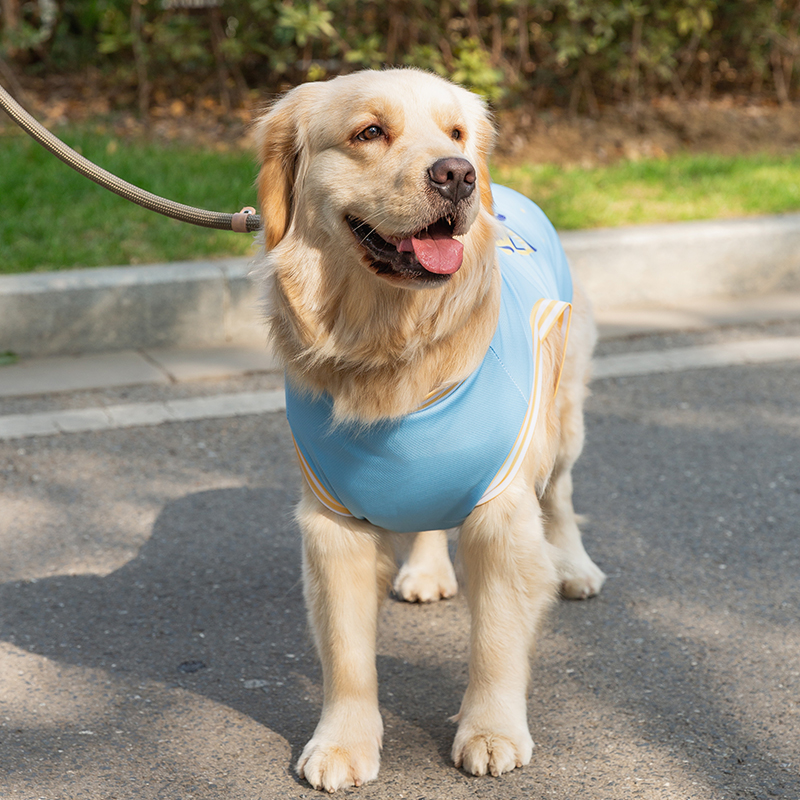 清凉酷感大狗狗衣服夏季薄款金毛柴犬边牧中型大型犬背心宠物夏天 - 图3