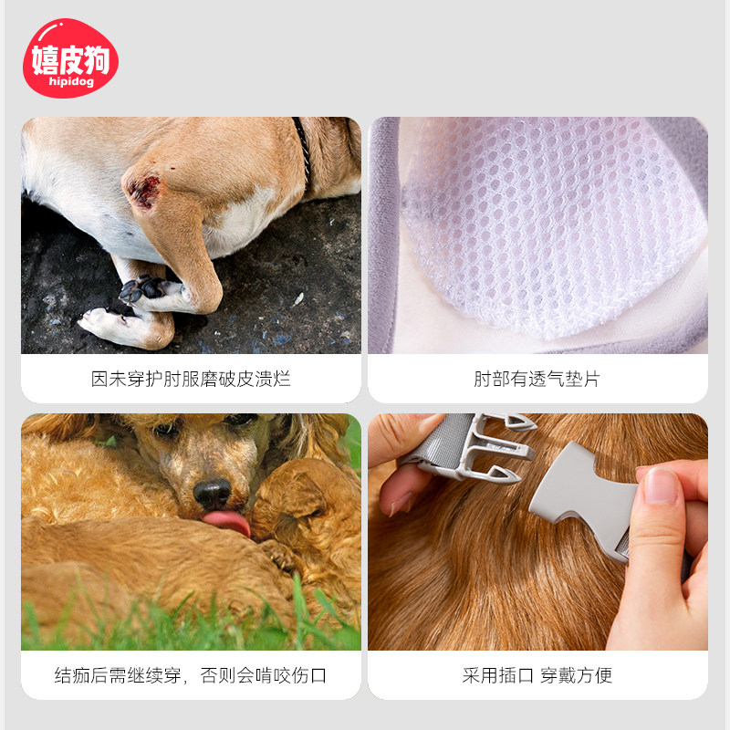 Hippie dog golden retriever big dog clothes elbow and knee pads