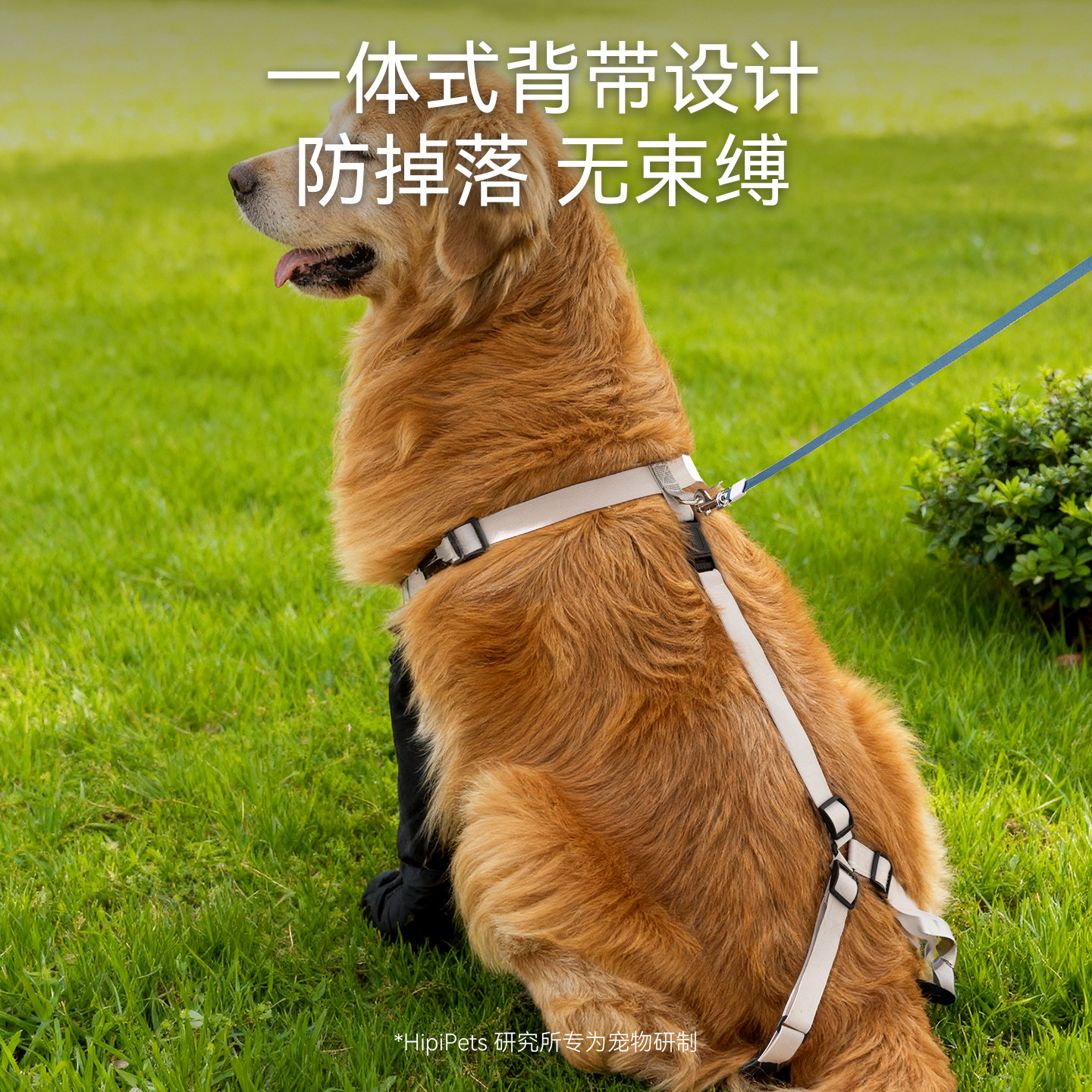 Hippie dog four-legged strap waterproof and anti-falling outing shoes