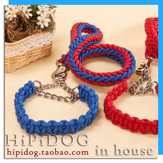 Large dog golden retriever medium pet supplies collar chain