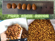 2023 New cargo opening pine nuts 500g nuts pine seed kernel Non-specific extra-large snack hand plus-size pine nuts