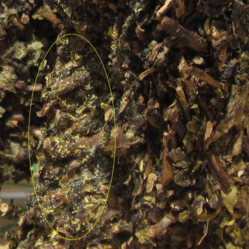 包邮 新疆特色茶饮 叶尔羌300克茯砖茶 餐饮日常饮用做奶茶等 - 图1