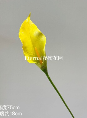 仿真马蹄莲高级感逼真花材3D打印胶布材质手感家居装饰手捧花材料