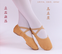 Free Band Dance Shoes Women Soft-bottom Exercises Shoes Children Ballet Shoes Folk Dancing Shoes Adults Yoga Cat Paw Shoes