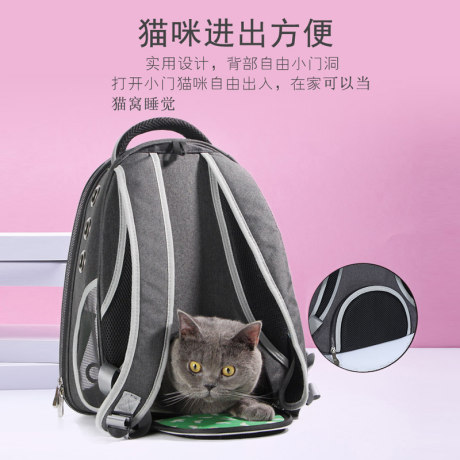 transparent bag for cat
