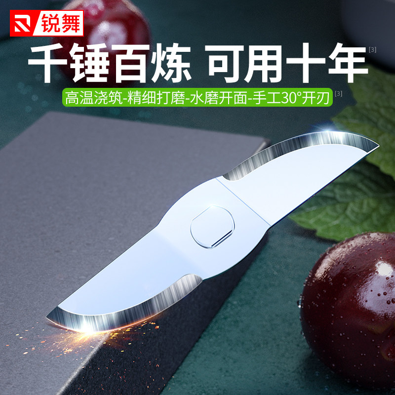 【抢先加购】锐舞小型便携式杯果汁机 锐舞榨汁机