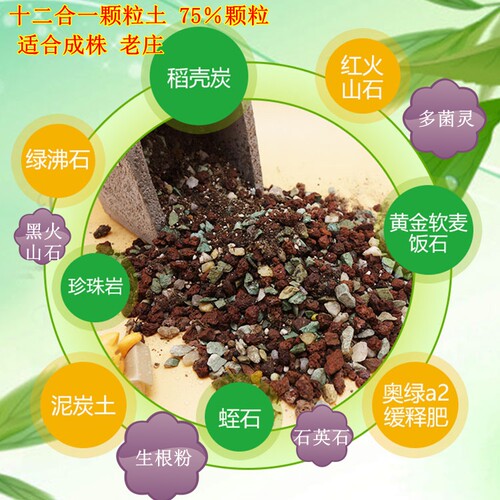 多肉土专用营养土颗粒多肉植物混合土植物泥炭土麦饭石火山石叶插 - 图2