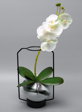 现代新中式客厅电视柜陶瓷罐玄关