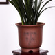 Yixing purple sand flower pot orchid pot large diameter Clivia flower pot ceramic special orchid flower pot clay purple sand pot
