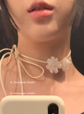 亚克力花朵choker复古项链