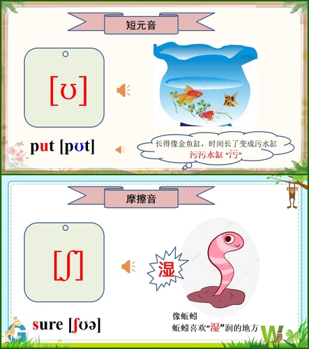 自学48英语音标教学中小学生+讲解视频+音标卡+英语日常对话动画