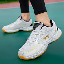 Volleyball Shoes Cheering Volleyball Shoes Men And Women Tug-of-war Games Special Shoes Training Shoes Non-slip Bull Gluten Bottom Student Handball Shoes