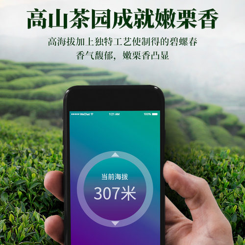 2026年新茶艺福堂茶叶明前特级碧螺春浓香型毛尖嫩芽正宗春绿茶 - 图0
