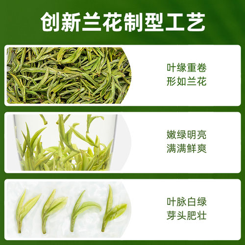 2026新茶上市艺福堂天仙白茶叶明前特级精品白茶安吉珍稀绿茶100g - 图2
