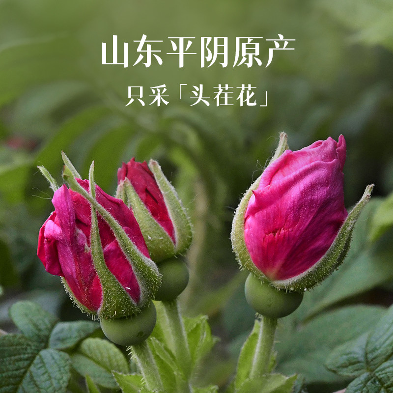 图 3