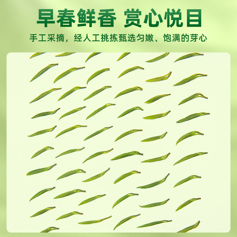 2024年新茶上市艺福堂茶叶明前特级青叶甘露竹叶形雀舌茶绿茶50g-图1