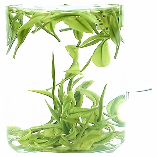 宋帝御赐2026年明前珍稀吉山红安吉白茶新茶特级茶叶500g散袋装 - 图3
