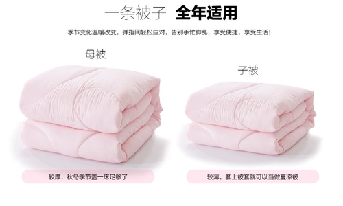 盛宇 Зимнее утолщенное стеганое одеяло, мать -Винтер -одеяло, весна и осень, четыре сезона, универсальное одиночное общежитие, зима взрослая