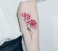 曼珠沙华包邮 新人首单立减十元 21年7月 淘宝海外