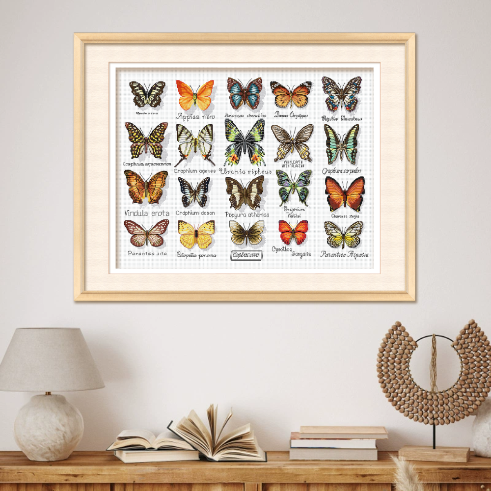 KS十字绣蝴蝶标本非满绣80色勾边手工绣线绣棉线自己绣客厅挂画,淘宝优惠券,粉丝福利购,淘宝优惠卷