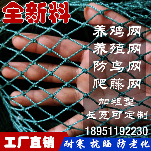 养殖网养鸡网尼龙网拦鸡网围鸡塑胶网护栏网菜园围网防护网 - 图0