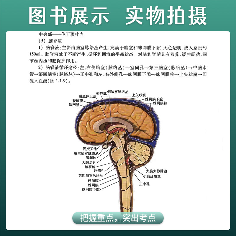 正版 神经疾患康复治疗技术 康复治疗师临床工作指南 临床常见问题 刘惠林 胡昔权 康复治疗技术 人民卫生出版社9787117288545