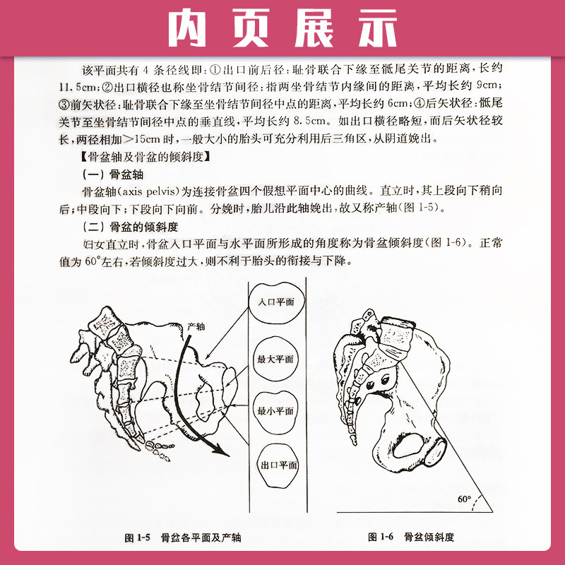 【包邮】《高级助产学》第2版第二版 (全国高等医药院校教材) 魏碧蓉 专科助产专业师生 助产士专业书理论与实践技能 产科学书籍