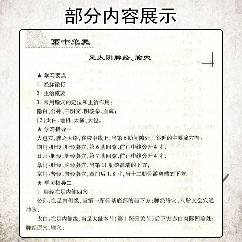 正版 针灸趣味记忆 谢雨君著 中医针灸学基础入门理论经络腧穴学奇经八脉穴位速记口诀歌诀针灸歌诀口袋书手册人卫版9787117246927