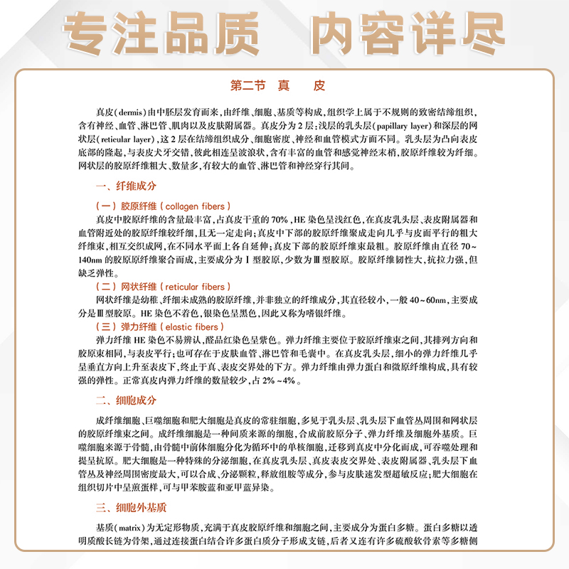 正版皮肤与性病学副主任医师职称考试书主任医生考试教材2024正高副高皮肤科副高级卫生职称考试资料用书指导书练习题历年真题人卫 - 图2