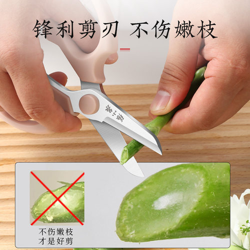 张小泉花艺剪刀园艺花店鲜花插花剪刀宽头修剪花枝花草专用工具 - 图0