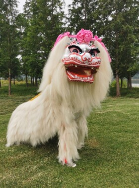 网红小白狮北狮舞狮牦牛毛