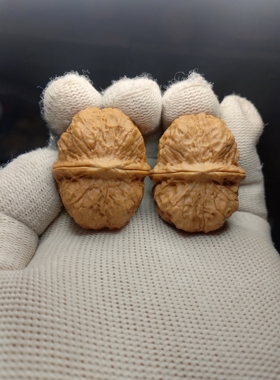3.9云南野生马蹄金蟾元宝，矮桩平底，皮质好油性大，原皮原色