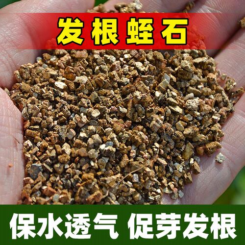 蛭石扦插用养花专用珍珠岩颗粒乌龟蛋孵化育苗基质月季扦插专用土 - 图2