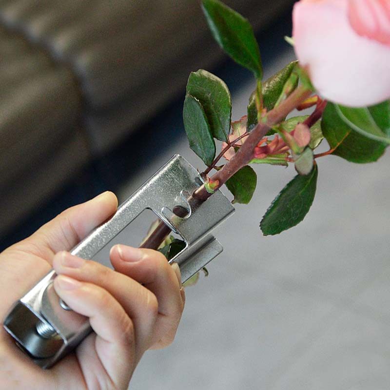 玫瑰花打刺钳去刺器花店玫瑰打刺器去刺夹子去刺宝去刺工具园艺,淘宝优惠券,粉丝福利购,淘宝优惠卷