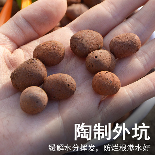 种花陶粒蛭石陶粒营养土营养液肥料多肉植物基质育苗块园艺铺面垫 - 图1