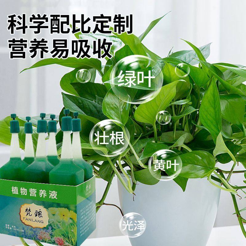 营养液植物通用型绿萝富贵竹发财树巴西木多肉水培养花卉绿植花肥,淘宝优惠券,粉丝福利购,淘宝优惠卷