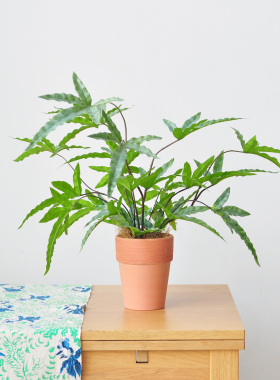 九思自然风格仿真绿植盆栽盆景