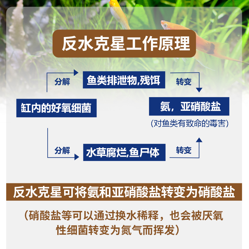 台湾鱼护士速倍妥反水克星硝化细菌水质稳定剂全系列专用鱼药 - 图2