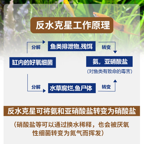 台湾鱼护士速倍妥反水硝化细菌水质稳定剂全系列水族专用药水 - 图2