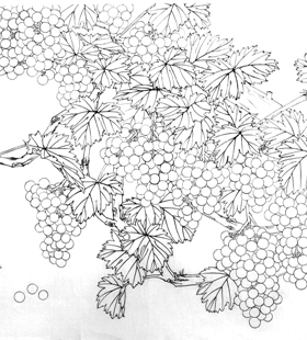 工笔画底稿 工笔4尺花鸟横幅小鸟葡萄白描94#打印稿学习临摹