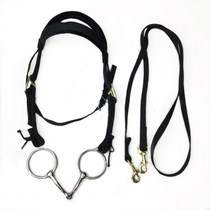 Saddle new horse with colourful size short Mathulle reins with a full range of horse-cage head finer horseback equestrian items