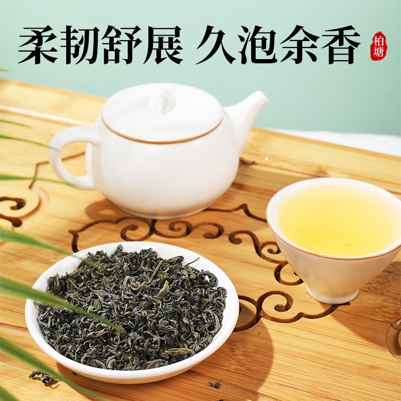 2024柏塘山茶明前春分茶广东十大名茶特级绿茶惠州博罗罗浮山茶叶 - 图2