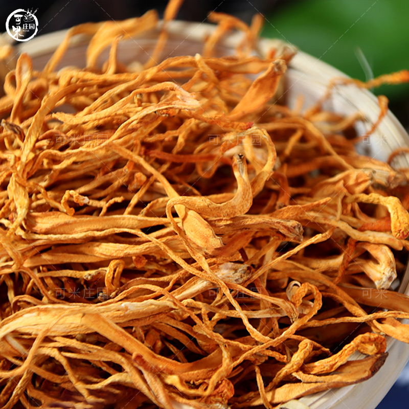 虫草花100克金虫草花 干虫草花北虫草孢子头云南特产菌干货蛹虫草 - 图1