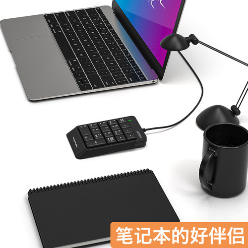 双飞燕数字小键盘USB有线外接笔记本财务收银免切换密码键盘FK13P - 图2