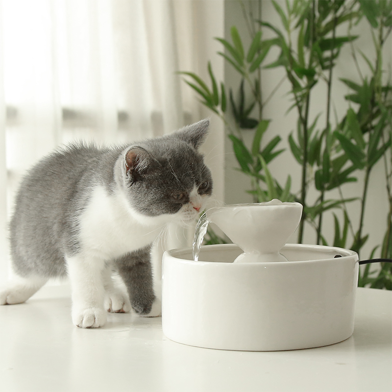 猫咪饮水机过滤活水加热恒温狗狗喝水器猫用饮水机自动循环不插电 - 图0