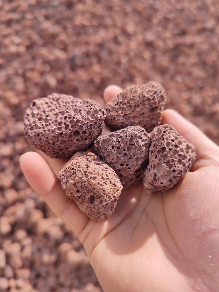 红色火山石鱼缸多肉过滤净化培菌100斤超划算滤材鱼池水质包邮 - 图2