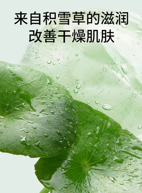 正彩玫瑰洋甘菊纯露积雪草保湿补水爽肤水大容量滋润精华露