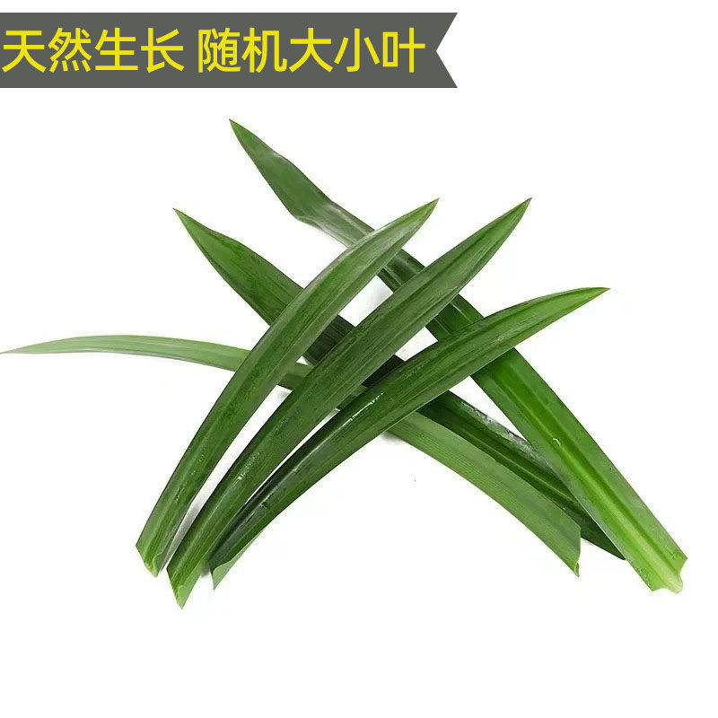 斑斓叶新鲜香兰叶食用班兰叶烘培蛋糕甜品糯米饭摆盘装饰叶子包邮,淘宝优惠券,粉丝福利购,淘宝优惠卷