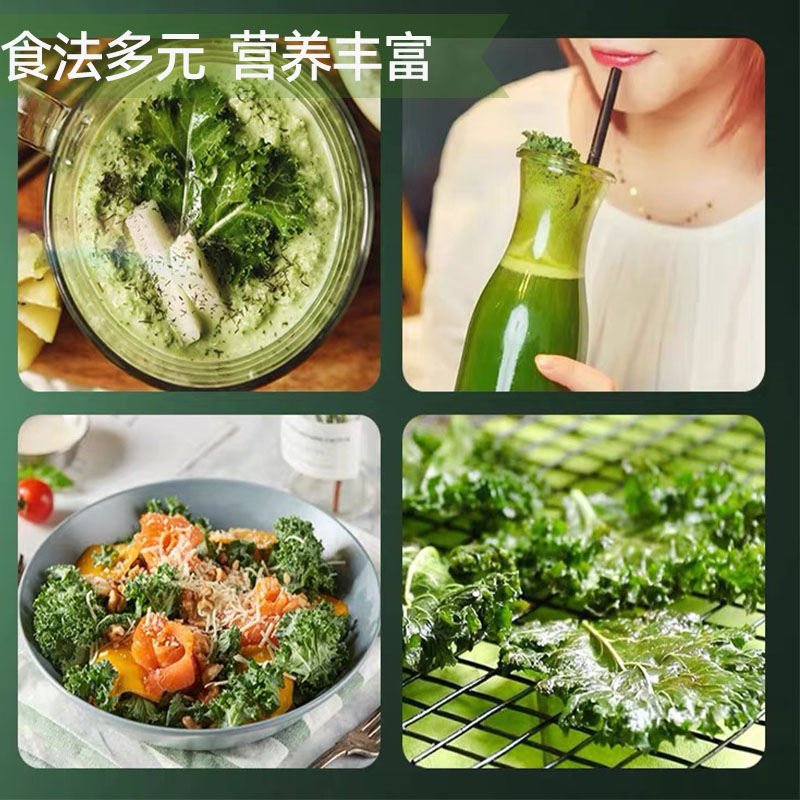 羽衣甘蓝新鲜食用绿色沙拉蔬菜榨汁烤片健身西餐轻食食材kale包邮 - 图3